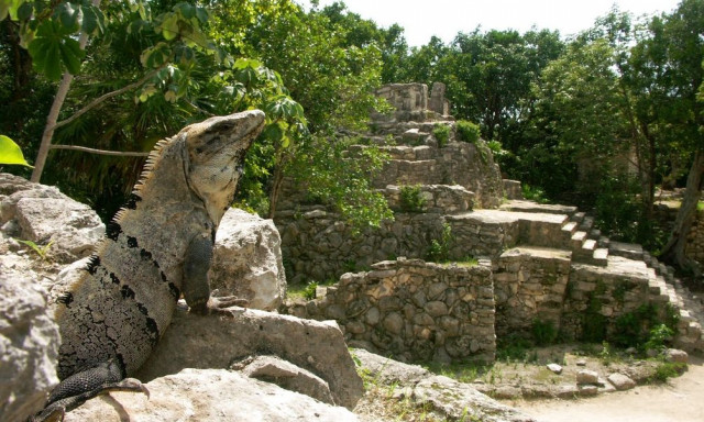 Mεξικό: Ανακάλυψαν... κατά λάθος τεράστια πόλη των Μάγια, χαμένη στη ζούγκλα
