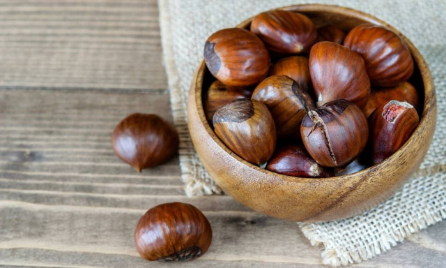 Πήλιο: Η παρατεταμένη ανομβρία «σκοτώνει» τα κάστανα – Απελπισμένοι οι παραγωγοί