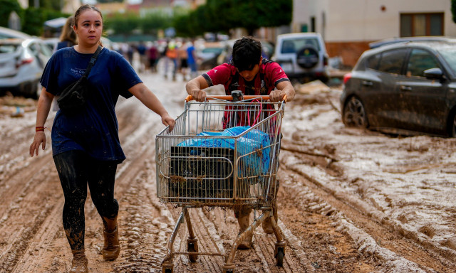 Ισπανία: Ψάχνουν νερό και τροφή στις λάσπες της Βαλένθια