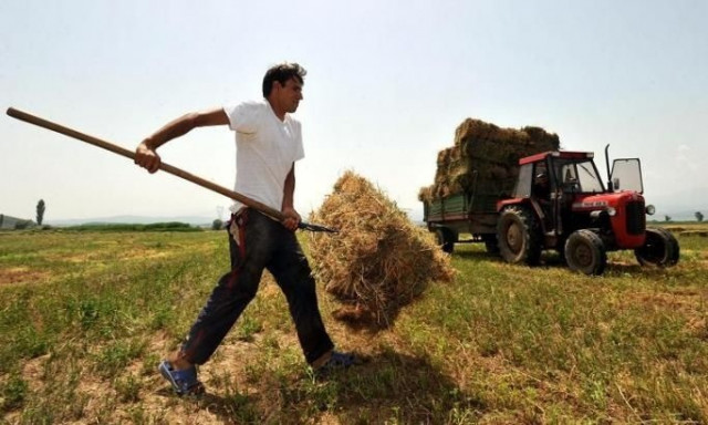 OΠΕΚΕΠΕ: «Ζεστό» χρήμα σε χιλιάδες αγρότες - Πότε θα καταβληθούν πάνω από 190.000.000 ευρώ