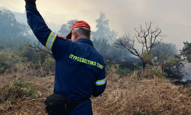 Φωτιά στον Ταύρο - Μεγάλη κινητοποίηση της Πυροσβεστικής