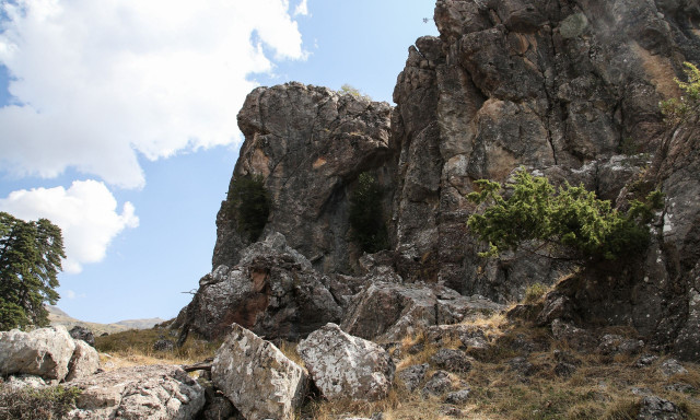 Μοναδικές διαδρομές με… γουρούνα στις απάτητες πλαγιές του Γράμμου