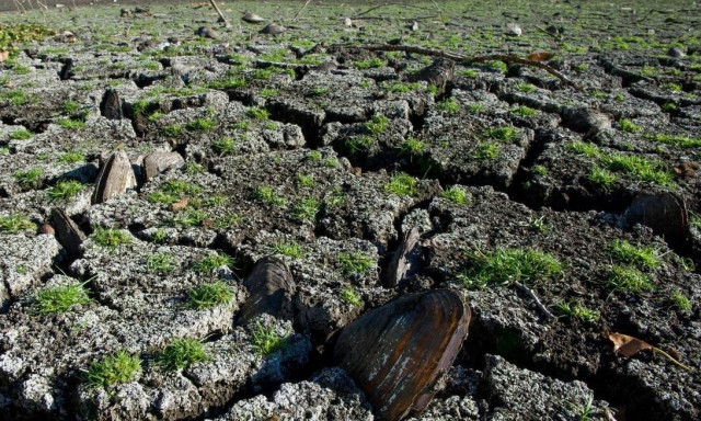 Πάρος: Τραγική η κατάσταση - Δεν έχει βρέξει εφτά μήνες