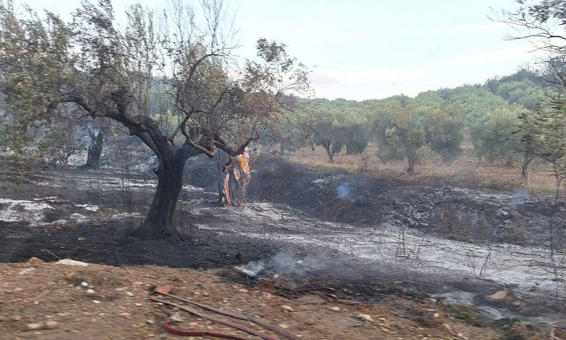 Χαλκιδική: Συνελήφθη 51χρονος για τη φωτιά στον Νέο Μαρμαρά – Θα καταβάλλει πρόστιμο 5.000 ευρώ