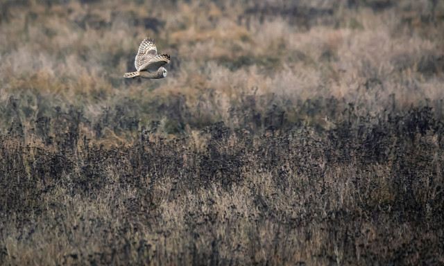 Τρίκαλα: «Τον πέρασα για θήραμα», λέει ο 59χρονος αστυνομικός για τον θάνατο του 68χρονου