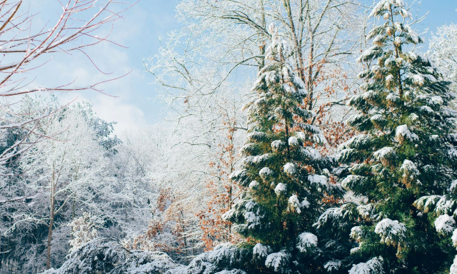 Καιρός - Τσατραφύλλιας: Πού θα χιονίσει σήμερα – Πτώση θερμοκρασίας και μεγάλα ύψη βροχής