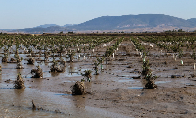 ΕΛΓΑ: Σήμερα οι πληρωμές ύψους 4,1 εκατ. ευρώ σε κτηνοτρόφους για Daniel - Elias