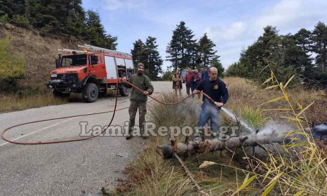 Φθιώτιδα: Λαθροϋλοτόμοι προκάλεσαν πυρκαγιά ρίχνοντας έλατο πάνω σε καλώδια υψηλής τάσης