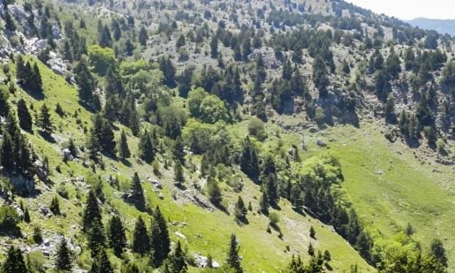 Χανιά: Επιχείρηση διάσωσης δύο ατόμων σε φαράγγι