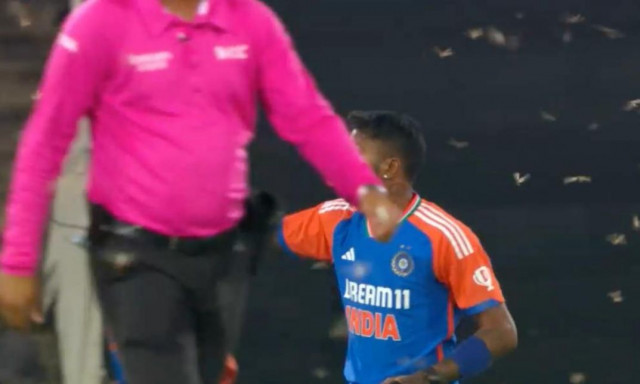 Εισβολή ιπτάμενων μυρμηγκιών διακόπτει τον αγώνα κρίκετ Ινδία - Νότια Αφρική