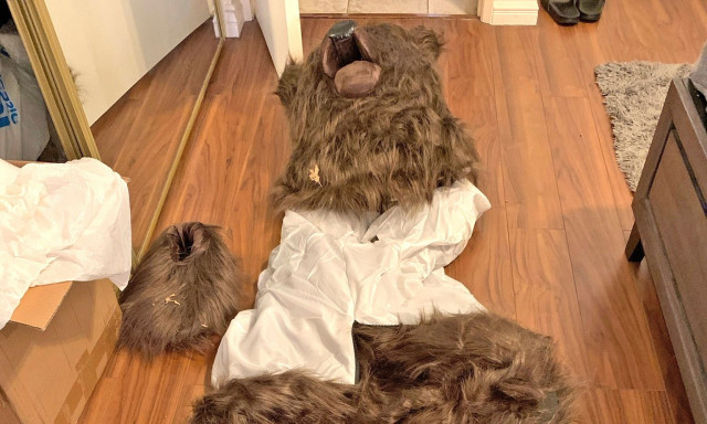 Καλιφόρνια: Με στολή «αρκούδας» γρατζουνούσε πολυτελή ΙΧ για να εισπράξει από τις ασφαλιστικές