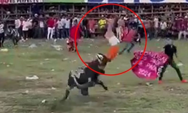 Τρομακτικό βίντεο: Η στιγμή που μαινόμενος ταύρος καρφώνει και σκοτώνει «υποψήφιο» ταυρομάχο
