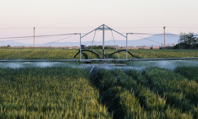 Ενισχύσεις ΟΠΕΚΕΠΕ: Ποιοι πληρώνονται μέχρι το βράδυ