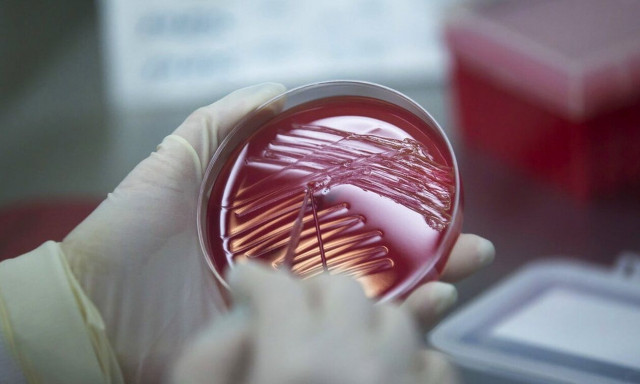 Μικροβιακή αντοχή: 35.000 άνθρωποι πεθαίνουν κάθε χρόνο από βακτήρια ανθεκτικά στα αντιβιοτικά