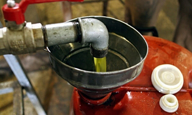 Ελαιόλαδο: Πόσο πουλιέται ο τενεκές - Η τιμή σε Λακωνία, Μεσσηνία, Κρήτη