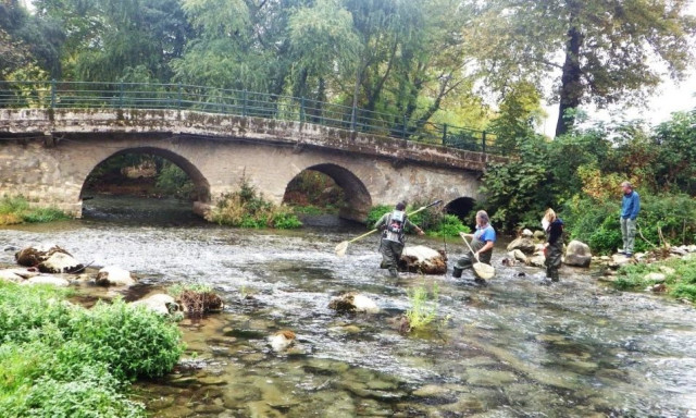 Γκαβόχελο: Το σπάνιο ψάρι που μοιάζει με σκουλήκι - Ζει στην Ελλάδα εδώ και 360 εκατ. χρόνια
