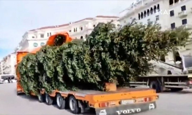 Θεσσαλονίκη: Έφτασε το εντυπωσιακό έλατο 20 μέτρων που θα στολιστεί για τα Χριστούγεννα