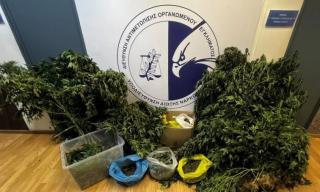 Καλύβια: Συνελήφθη μέλος συμμορίας που καλλιεργούσε υδροπονική κάνναβη σε μονοκατοικία