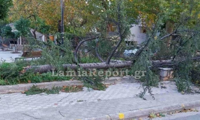 Κακοκαιρία: Έριξε δέντρα και ξήλωσε τέντες ο δυνατός αέρας στην Λαμία