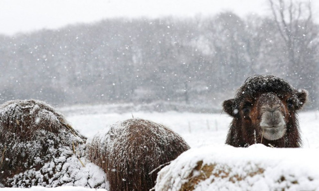 Η κακοκαιρία Bert «σαρώνει» Βρετανία, Ουαλία και Σκωτία – Ισχυροί άνεμοι και πυκνές χιονοπτώσεις