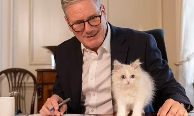Γατομπελάδες στην Ντάουνινγκ Στριτ - Ο πιο διάσημος ένοικος «απειλείται» από το σιβηριανό γατάκι