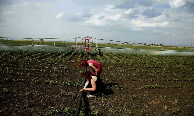 ΟΠΕΚΕΠΕ: Πότε έρχονται 4+1 πληρωμές για τους δικαιούχους
