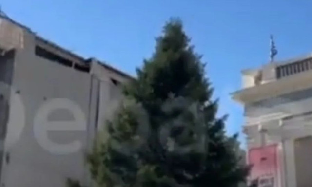 Έφτασε το χριστουγεννιάτικο δέντρο στον Πειραιά – Θα ντυθεί με 100.000 λαμπιόνια