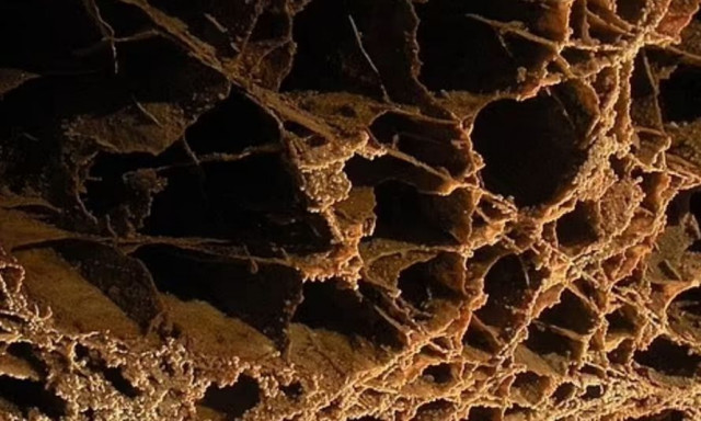 Η ανακάλυψη του αιώνα από την NASA: Βρέθηκαν ιστοί αραχνών στον Άρη -Δείτε τις εικόνες