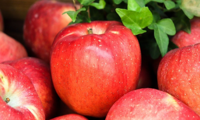 Πόσο καλό είναι ένα μήλο την ημέρα για την σωματική και ψυχική υγεία