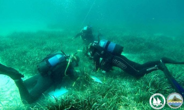 Χειμερινή ερευνητική αποστολή στο Βόρειο Αιγαίο με επίκεντρο τη Λήμνο