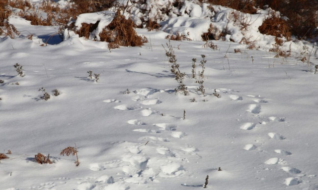 Καιρός: Σε ποιο μέρος της Ελλάδας θα πέσουν δύο μέτρα χιόνι