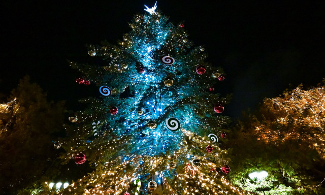 Δήμος Αθηναίων: Χριστουγεννιάτικες εκδηλώσεις για τα παιδιά και όσους νιώθουν παιδιά