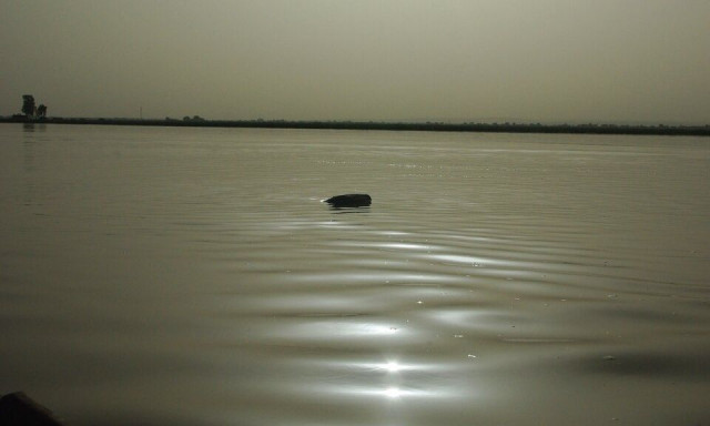 Τουλάχιστον 27 νεκροί από τη βύθιση πλοιαρίου στον ποταμό Νίγηρα