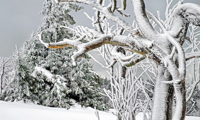 Καιρός: Έρχεται ολική ανατροπή του σκηνικού - Πώς θα κάνουμε Χριστούγεννα