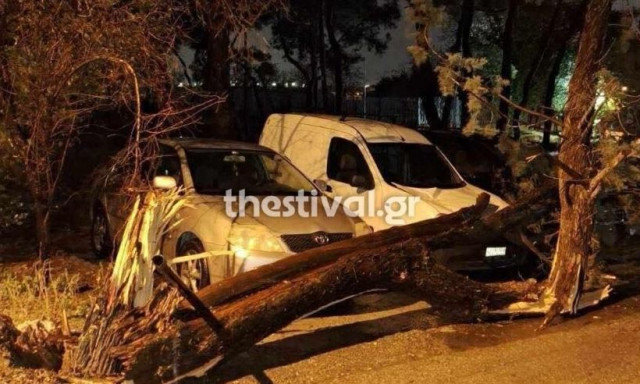 Kακοκαιρία Bora - Θεσσαλονίκη: Πτώσεις δέντρων και φθορές σε ΙΧ - Κατέρρευσε τμήμα γέφυρας