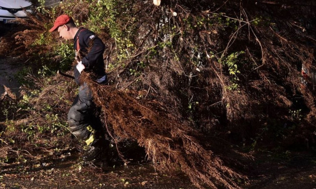 Κακοκαιρία BORA: Διακοπές ρεύματος στα βόρεια προάστια της Αττικής