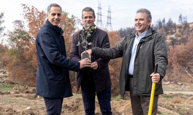 Η Nova ξεκίνησε την Αναδάσωση της Ιεράς Μονής Πεντέλης