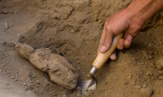 Επιστήμονες «ανακάλυψαν» νέο είδος ανθρώπου ηλικίας άνω των 200.000 ετών