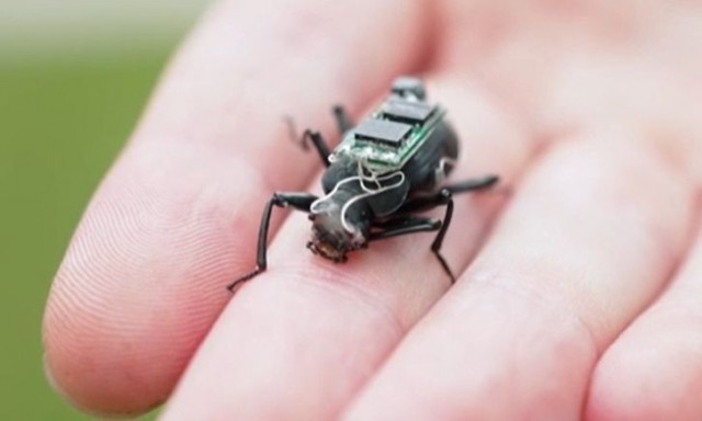 Αυστραλία: Φοιτητής δημιούργησε υβριδικό ρομπότ για καλό σκοπό - Είναι μισό μηχανή μισό σκαθάρι