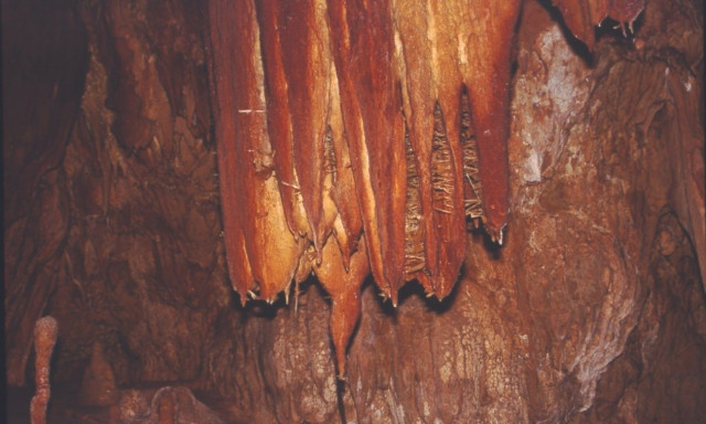 Δεκάδες χιλιάδες επισκέπτες θαυμάζουν το Σπήλαιο των Πετραλώνων - Τα «μυστικά» που κρύβει
