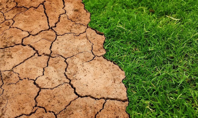 Το φαινόμενο του «υγρού βολβού» φέρνει αύξηση των θανάτων ατόμων κάτω των 35 ετών