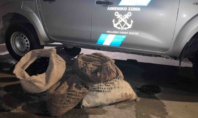 Χαλκίδα: Την «πάτησαν» με τους αχινούς – Τρεις συλλήψεις από το Λιμενικό