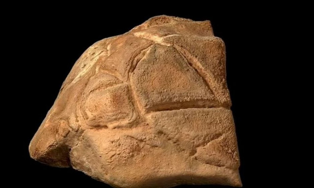 Άγιοι Τόποι: Το «ιερό» γλυπτό χελώνας που ήρθε στο φως μετά απο 35.000 χρόνια - Γιατί το λάτρευαν