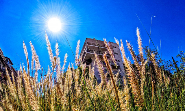 Το 2025 θα είναι μία από τις τρεις θερμότερες χρονιές που έχουν καταγραφεί στον πλανήτη