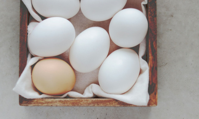 Αυγά: Τι κάνουν στην καρδιά μας - Ειδικός αποκαλύπτει πόσα μπορούμε να τρώμε την εβδομάδα