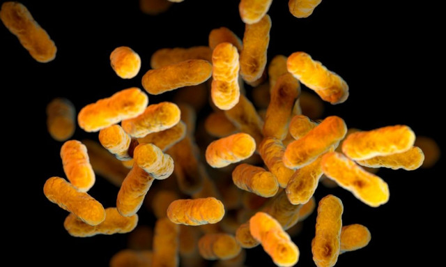 Πρωτοφανής κίνδυνος για τη ζωή στη Γη: Ποια έρευνα ζητούν οι επιστήμονες να σταματήσει επειγόντως