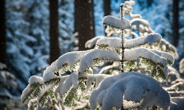 Καιρός: Βαρύς χειμώνας σε λίγες ώρες - Σε ποιες περιοχές θα έχουμε χιόνια, τι θα γίνει στην Αττική