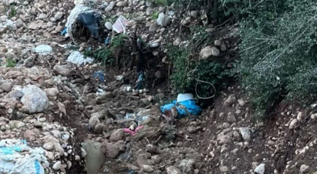 Βόλος: Πεταξαν νεκρά πρόβατα από ευλογιά σε ρέμα - Κατεπείγουσα προκαταρκτική από την Εισαγγελία