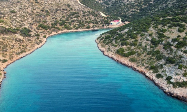 Αντιδρούν οι περιβαλλοντικές οργανώσεις: «6,5 χρόνια κωλυσιεργίας για το καταφύγιο θαλάσσιων ειδών»