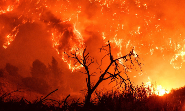 Πυρκαγιές 2024: Τρομάζουν τα στοιχεία - Οι καμένες εκτάσεις φτάνουν τα 450.000 στρέμματα